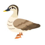 公務員が不動産投資で失敗しないためには【カモになるな】